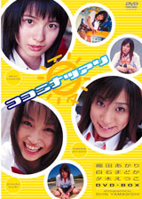 ココニ夏アリ　細田あかり・夕木えつこ・白石まどか　ＤＶＤ?ＢＯＸ