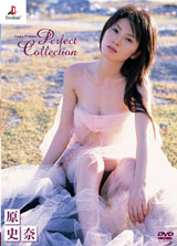 原史奈　Perfect collection