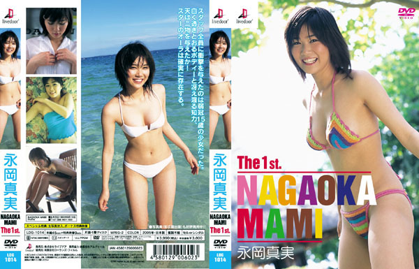 永岡真実 グラビアDVDセット