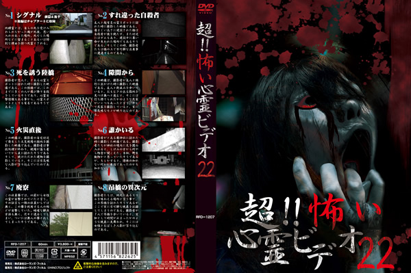 超！！怖い心霊ビデオ２２